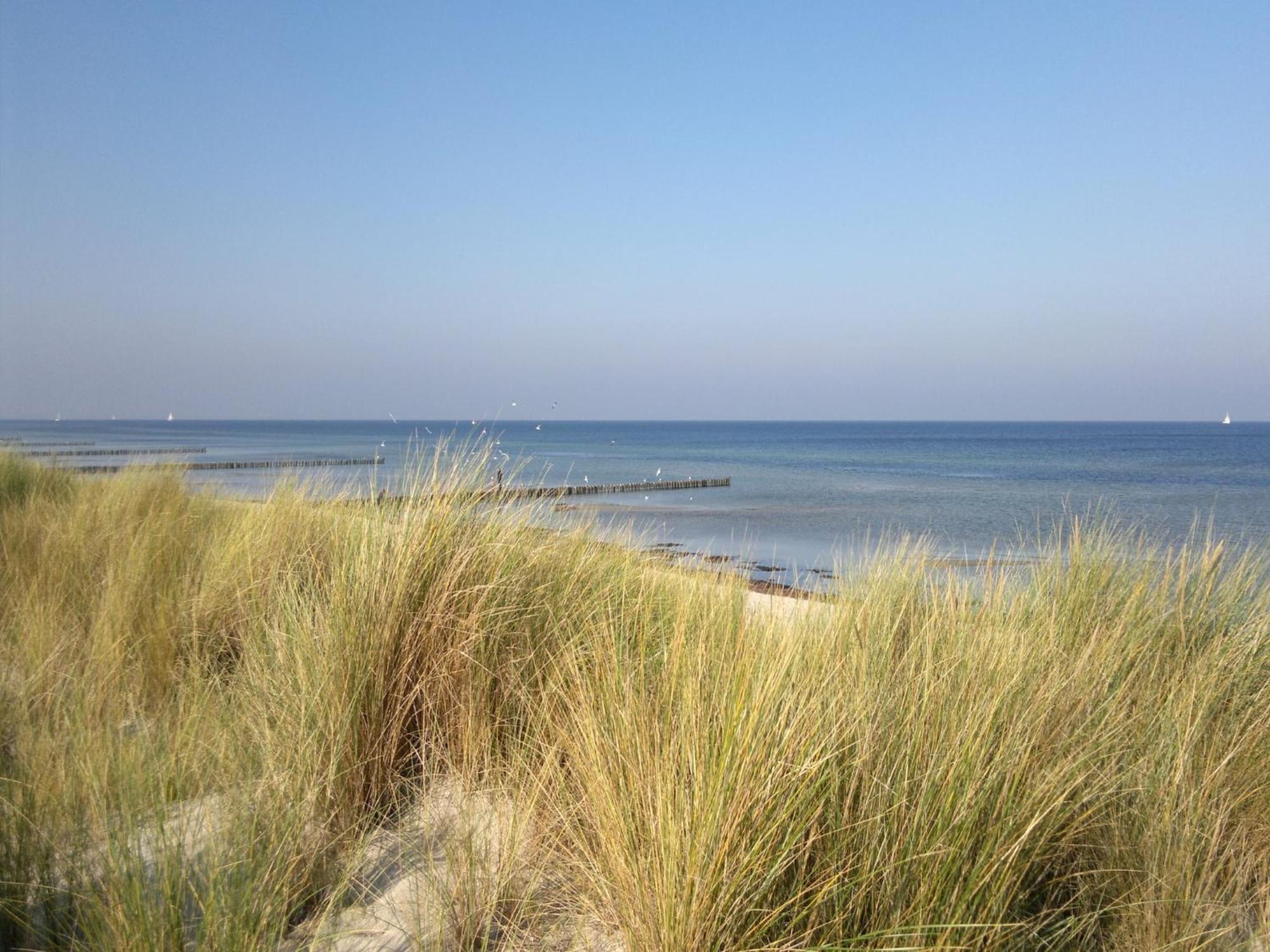 Boutique Bungalow In Insel Poel With Terrace Екстер'єр фото